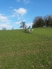 Niederhelfenschwil 2014